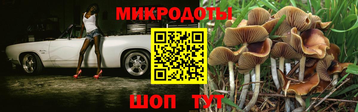Иваново  Псилоцибиновые грибы Magic Shrooms  цены   Вход с VPN 
